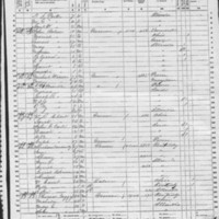 Polly Neal - 1860 IL Census Carroll Township, Vermilion County, IL